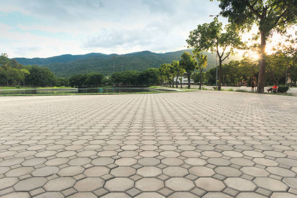 Best Driveway Pavers Near Me  in Cascade, IA